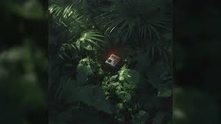 모스힐 (Mosshill) - 인공밀림 (Artificial Jungle) [Full Album]