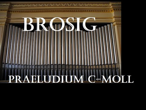 Moritz Brosig (1815 - 1887) - Praeludium c-Moll (Lento) Op.46/5