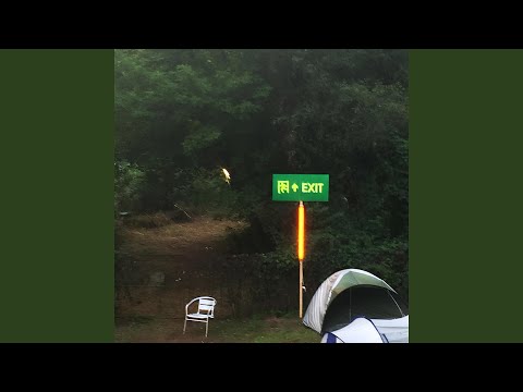 Kold Brise I Skoven.