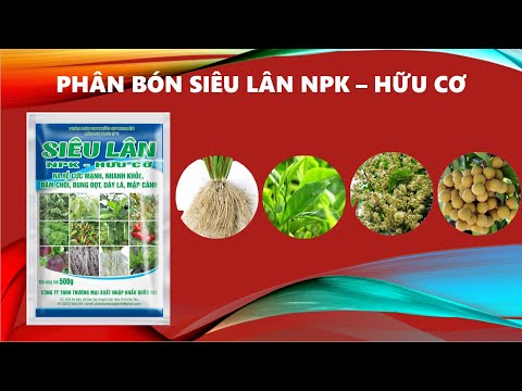 Siêu lân có tác dụng gì cho cây trồng | Phân bón Quốc Gia Xanh Siêu lân hữu cơ cho cây trồng