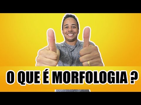 O QUE É MORFOLOGIA ?
