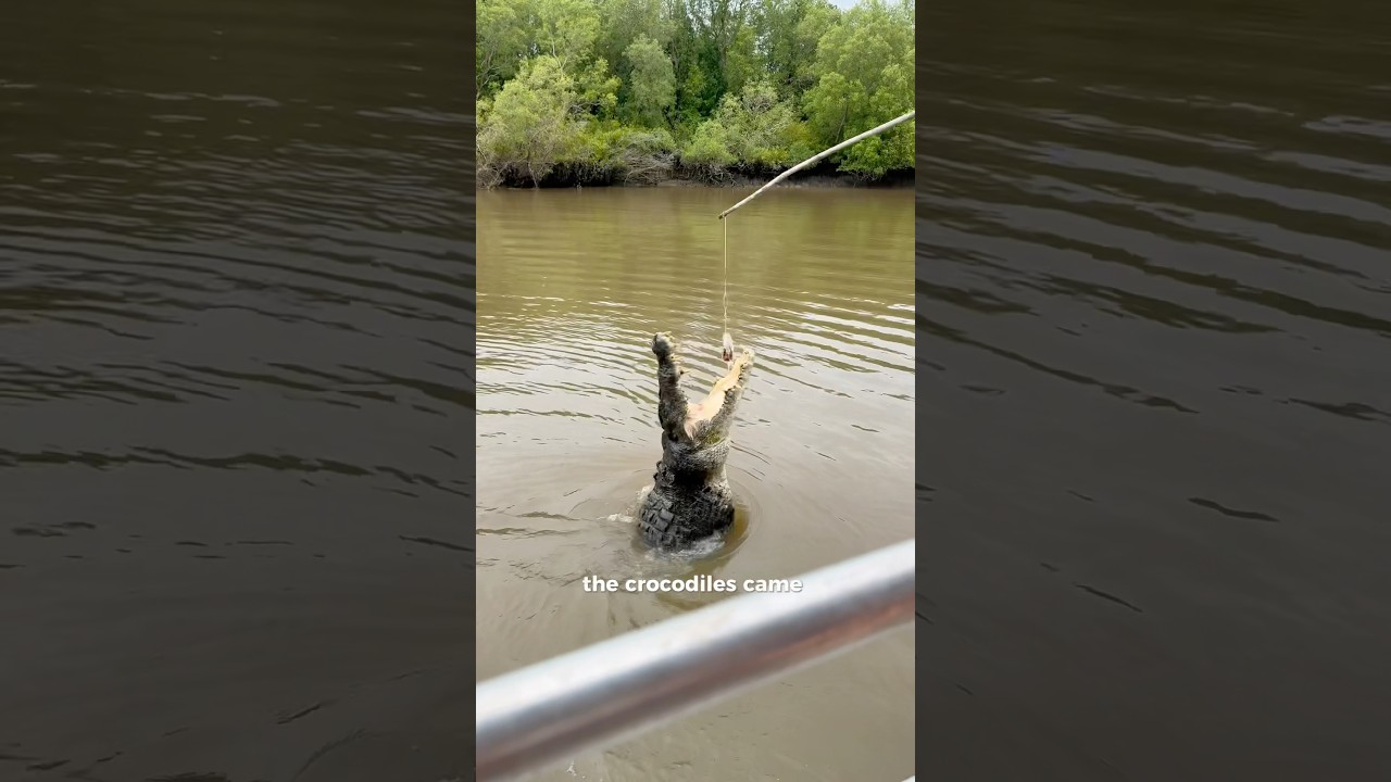 YouTube Short thumbnail