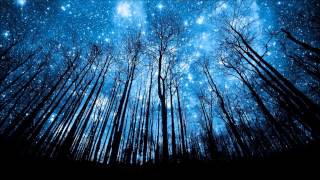 Audiowhores - Sanctuary (Original Mix) [HD]