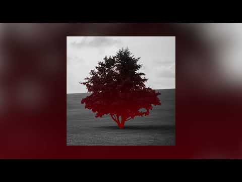 Alexjazz - Вітер