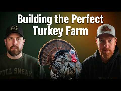 Building the Perfect Turkey Farm