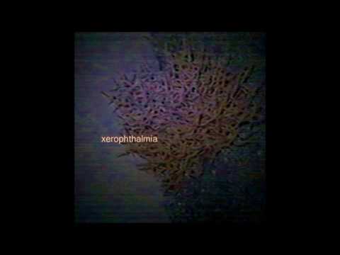 03. Cat Soup - cyberscape resources