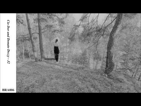 Cio D'Or & Donato Dozzy - J2 [BRA006]