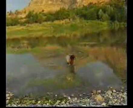 Dengbêj Salihê Qubînî / Lokman Birazî