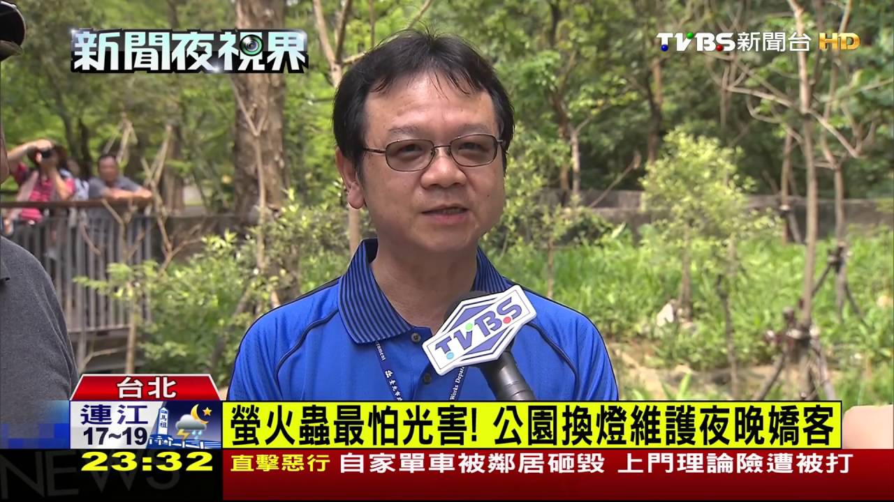 台北市區也有螢火蟲! 木柵公園已有百隻