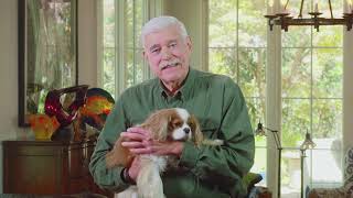 Caring for Your Beloved Pet While You Are Undergoing Cancer Treatment
