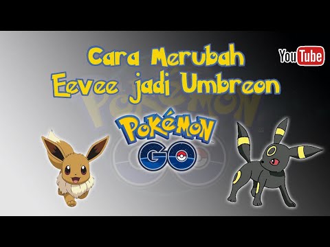 CARA MERUBAH EEVEE MENJADI UMBREON DI POKEMON GO