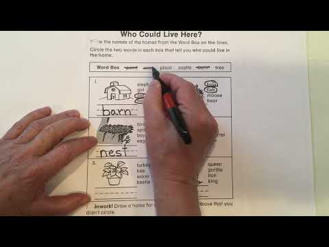 Inferences Worksheet 2
