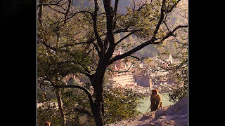 SHEILA CHANDRA ABoneCroneDrone 6