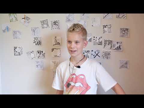 Einblicke / Insights – Die friesisch-dänische Grund- und Gemeinschaftsschule (Risum-Lindholm/ DE)