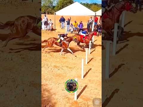 CORRIDA DE CAVALOS EM VÁRZEA GRANDE PIAUÍ.