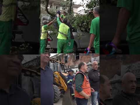 Prefeitura e Defesa Civil atuam no rescaldo após forte ventania em Santos.