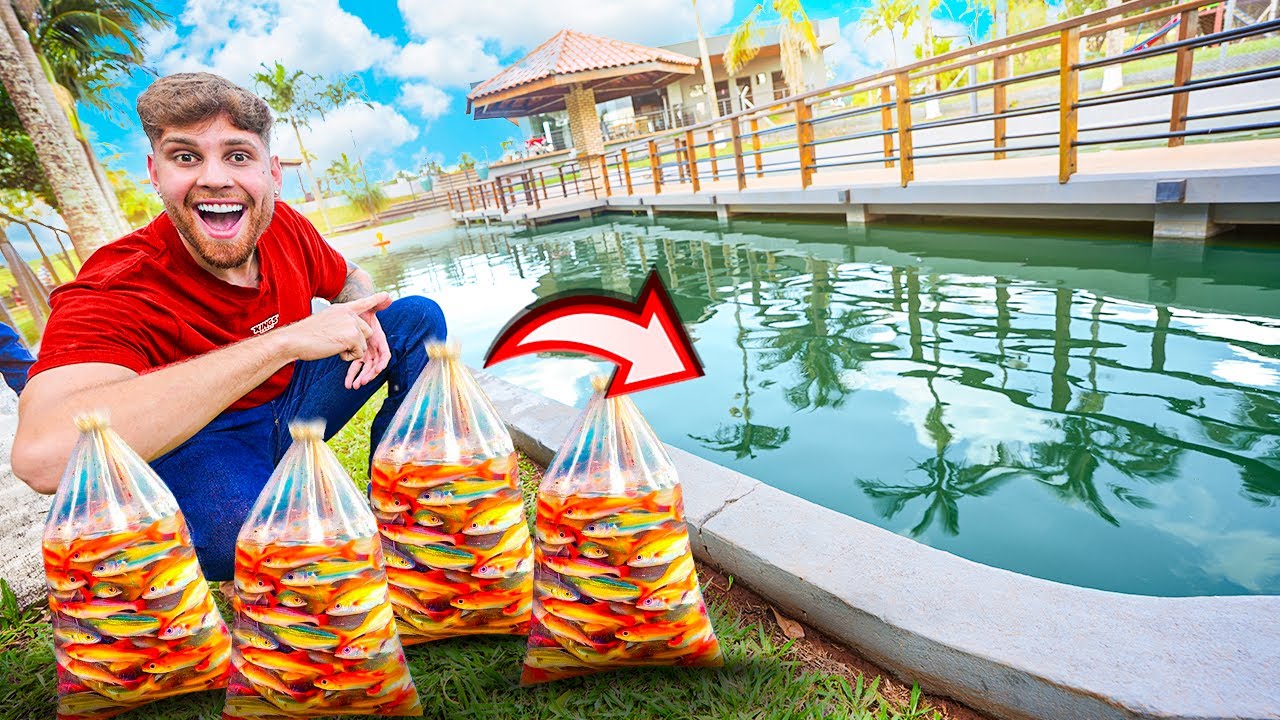 I RELEASED A LOT OF CARP INTO THE FARM LAKE 😍