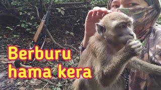 Download lagu berburu kera ekor panjang mp3 Download lagu berburu kera ekor panjang mp3