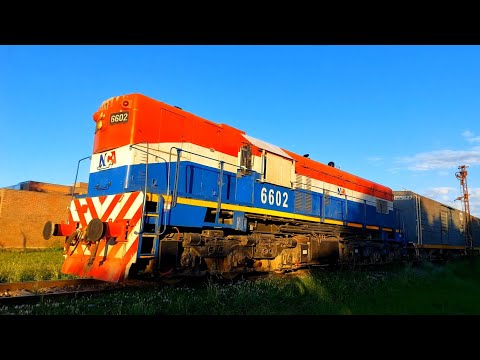 [4K] Tren vacio de NCA pasando por Marcos Juárez rumbo al oeste al atardecer!!!!!!