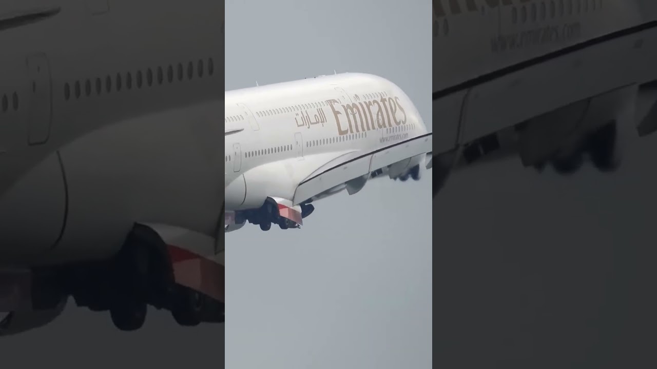 Premium Vector   Secure online payment transaction with smartphone  internet banking via credit card