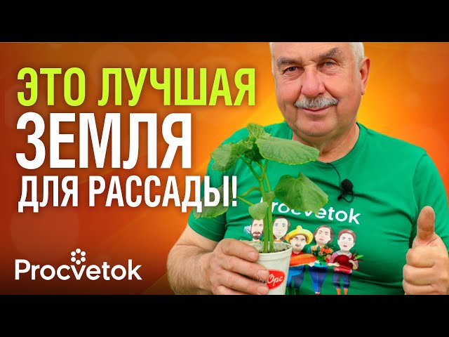 ИДЕАЛЬНЫЙ ГРУНТ СВОИМИ РУКАМИ, в котором любая рассада вырастет коренастой и здоровой!