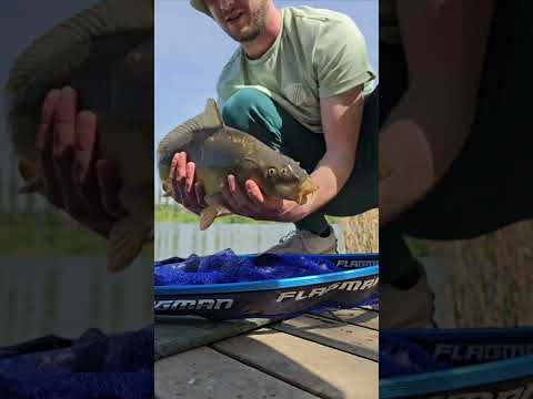 BYLE BRAŁY - Kokoszki Jaguar 4 Marzec 2024r.  Method Feeder + Bomb