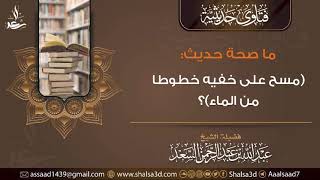 ما صحة حديث (مسح على خفيه خطوطا من الماء)؟ image