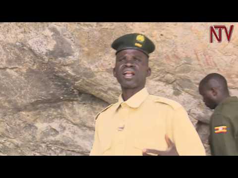 SAFARI IN UGANDA: Pian-Upe has more to offer than wildlife