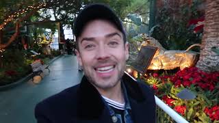 Kris James at the Zoo in Las Vegas with the white Lions and Tigers Grrrrrrrr