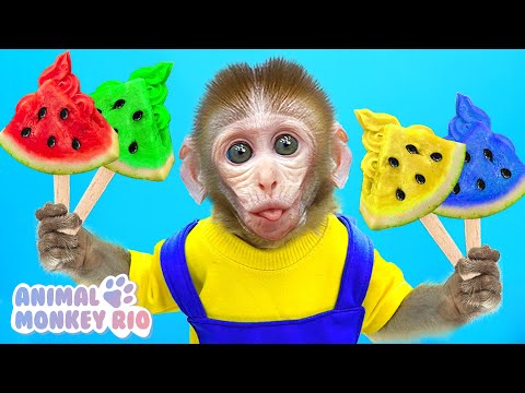 Macaco Rio come Melancia Colorida com Patinho e explora Caminhão de Sorvete | Animal Monkey Rio