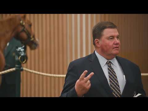 2018 Keeneland November Breeding Stock Sale