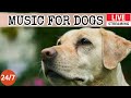 [LIVE] Dog Music🎵Relaxing Soothing Music for Dogs🐶Anti Separation anxiety relief music💖Dog Sleep🐶💖3