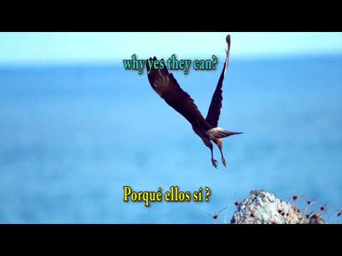 PORQUE PUEDE UN PAJARO SER LIBRE (subtitles) by MariaBozzini