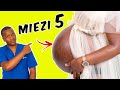 Dalili 17 ZA Mimba Changa Ya Mapacha Ya Wiki 20 AU Miezi 5 Kwa Mjamzito Mimba Ya Mapacha Ya Wiki 20