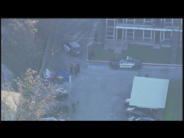 What does perplexing crime scene mean? Missing pregnant teen Savannah 