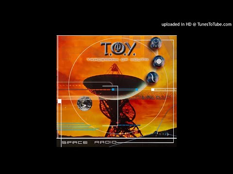 T.O.Y. - We Are Electric