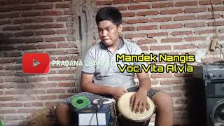 Download lagu MANDEK NANGIS (banyu moto uwes asat) - VITA ALVIA. DONGKREK JANDHUT VERSION mp3