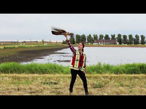 AERIUM Analytics First Airport Operations