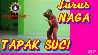 Download lagu JURUS NAGA TAPAK SUCI mp3