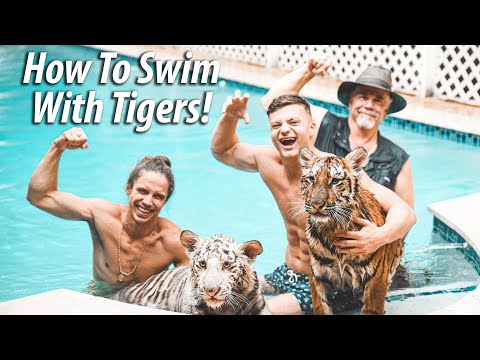 How to Swim with TIGERS with Cringe Fam | Myrtle Beach Safari