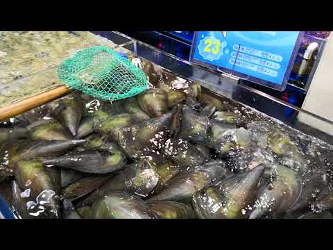 Restaurante de frutos do mar em Guangzhou Hongxing