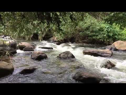 Bommuru Alla falls 2