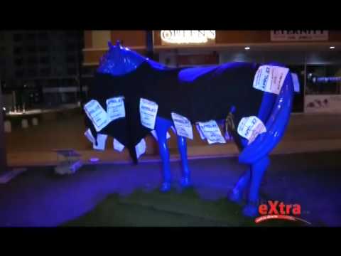 18 cabay blauw cu pamfleta conta abusa sexual di mucha 18 2