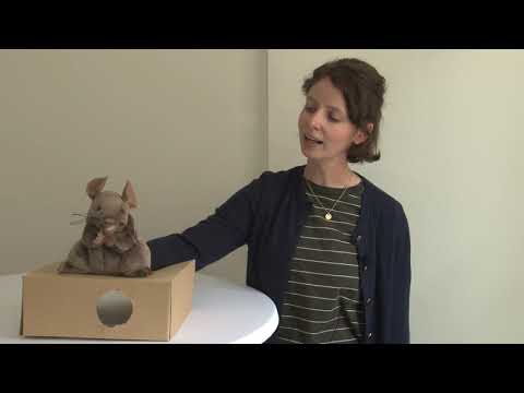 Statt Gottesdienst. Mit Maus.