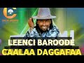 Caalaa Daggafaa New Ethiopian Oromo Music 2024 ️