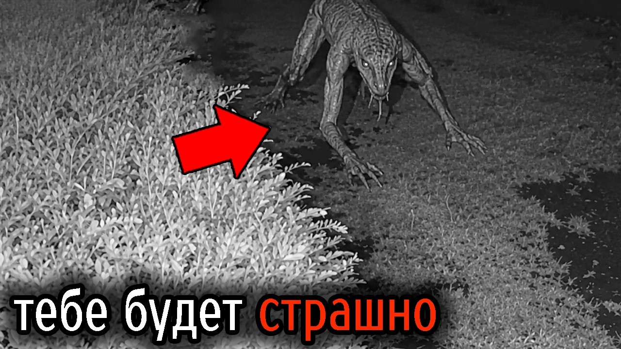 Самые Ужасные Видео со Всего Мира #132