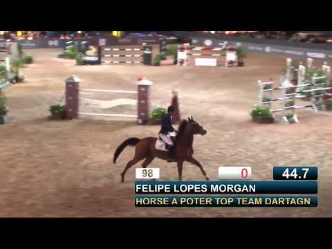 Felipe Morgan e TOP TEAM Dartagnan JB - CSI W Indoor SHP 2018