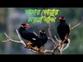 আমার সোনার ময়না পাখি|amar sonar moyna pakhi|Rasel Ahmed|Bangla song