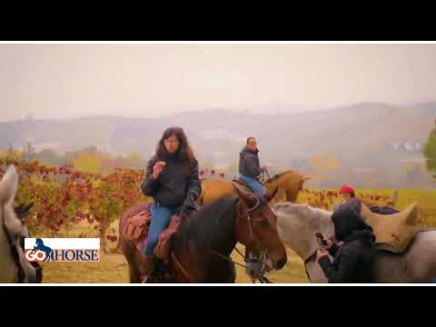 Go Horse: in Piemonte a Cavallo - Trekking del Monferrato