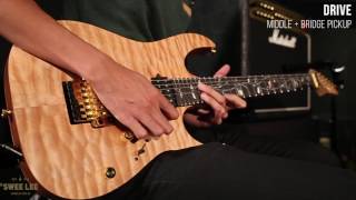 Video thumbnail for Ibanez J Custom Ltd Ed RG30JCLTD by Swee Lee